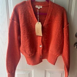 Listicle Burnt Orange Sweater Cardigan